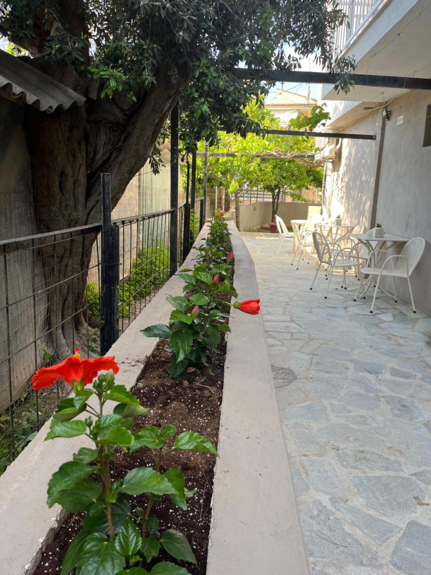 فندق Grecian Sea يميناريا المظهر الخارجي الصورة